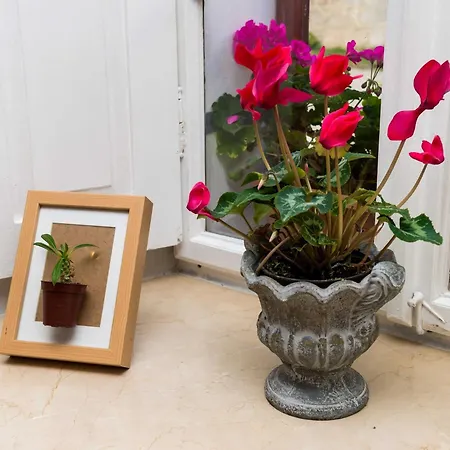 Nives - Three-bedroom With Terrace And Sea View Žuljana